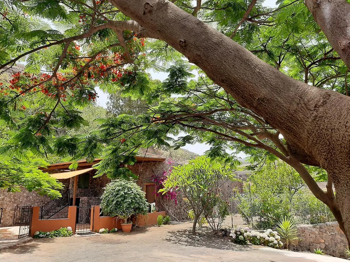 Peaceful House Set On A Vineyard & Work Friendly Villa Valsequillo de Gran Canaria 0*,