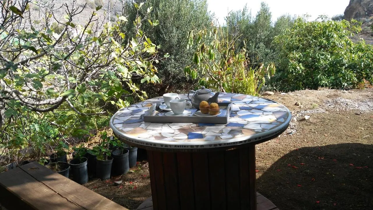 Peaceful House Set On A Vineyard & Work Friendly Villa Valsequillo de Gran Canaria Spain